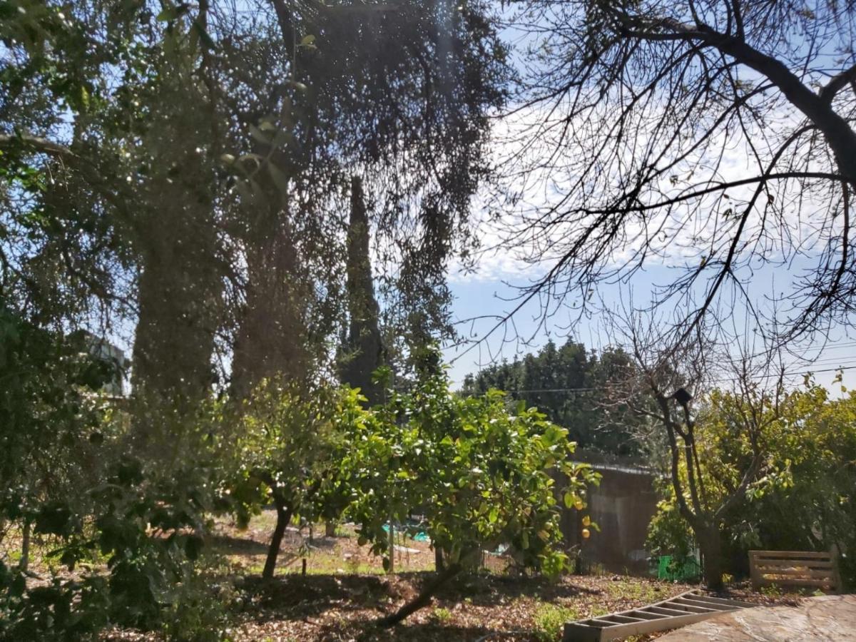 Eretz Hagalil - Land Of Galilee Guest House Amirim Exterior photo