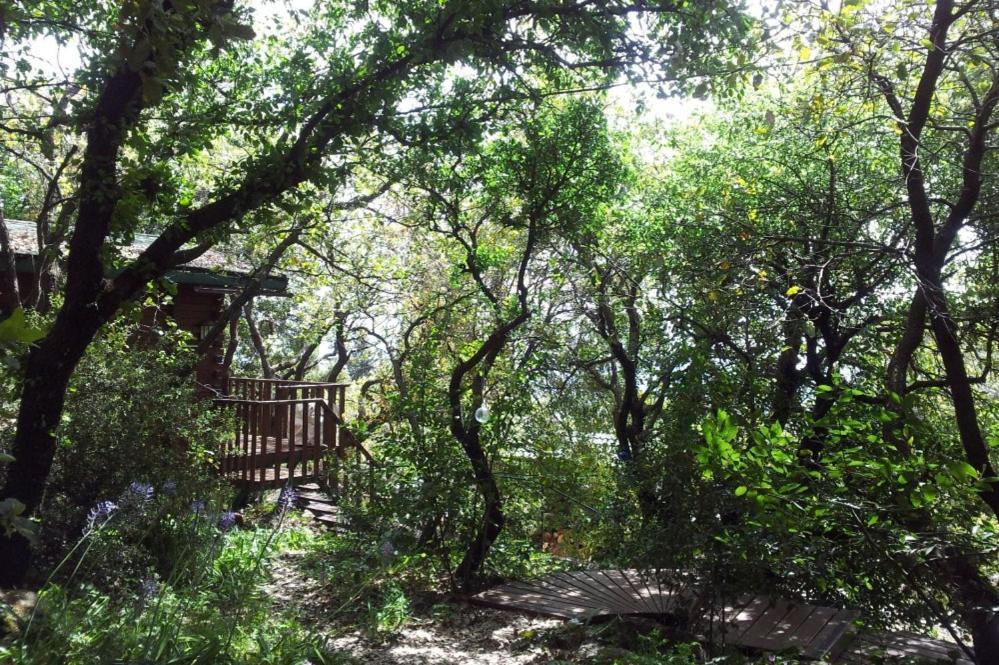 Eretz Hagalil - Land Of Galilee Guest House Amirim Exterior photo