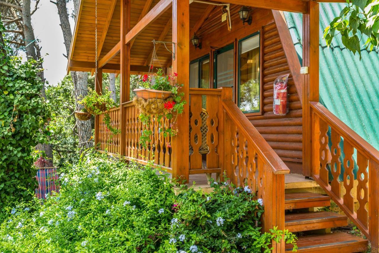 Eretz Hagalil - Land Of Galilee Guest House Amirim Exterior photo