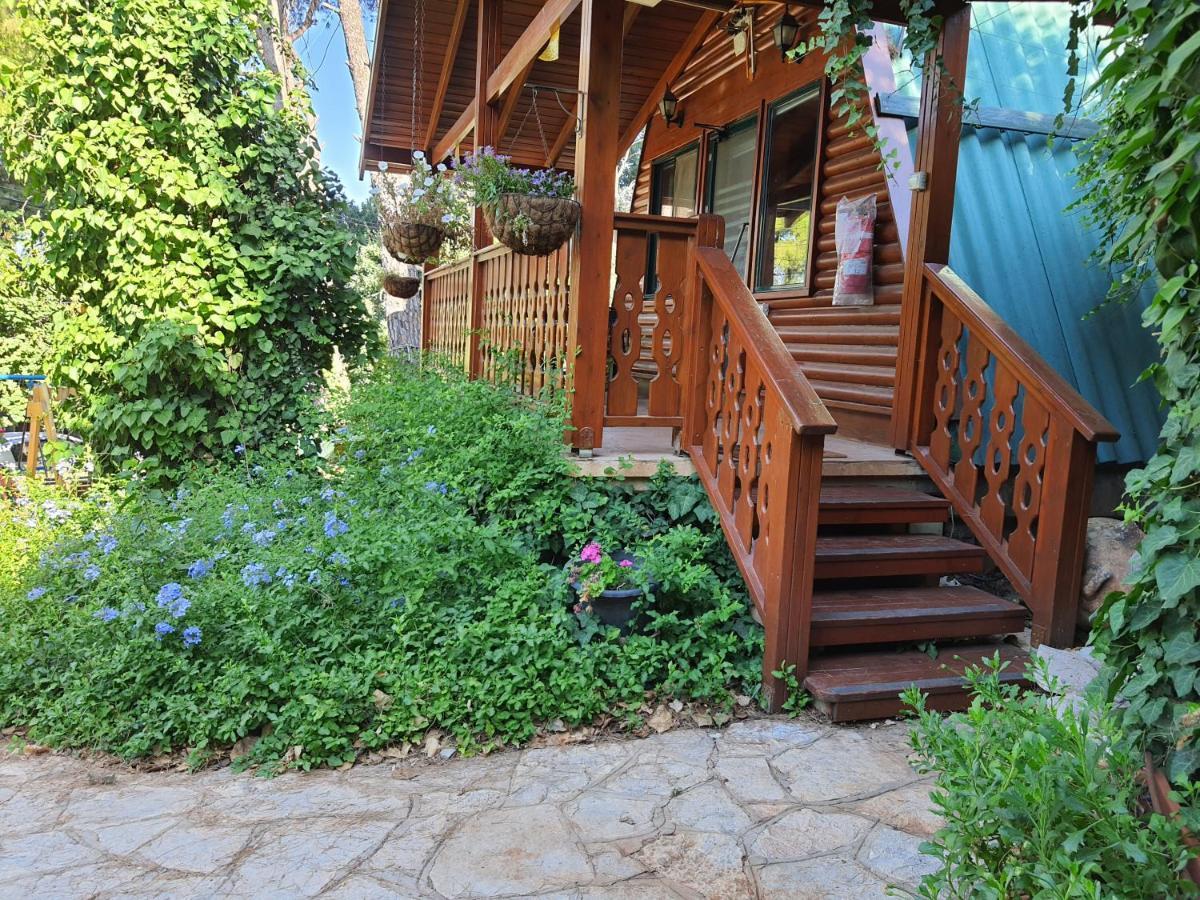 Eretz Hagalil - Land Of Galilee Guest House Amirim Exterior photo