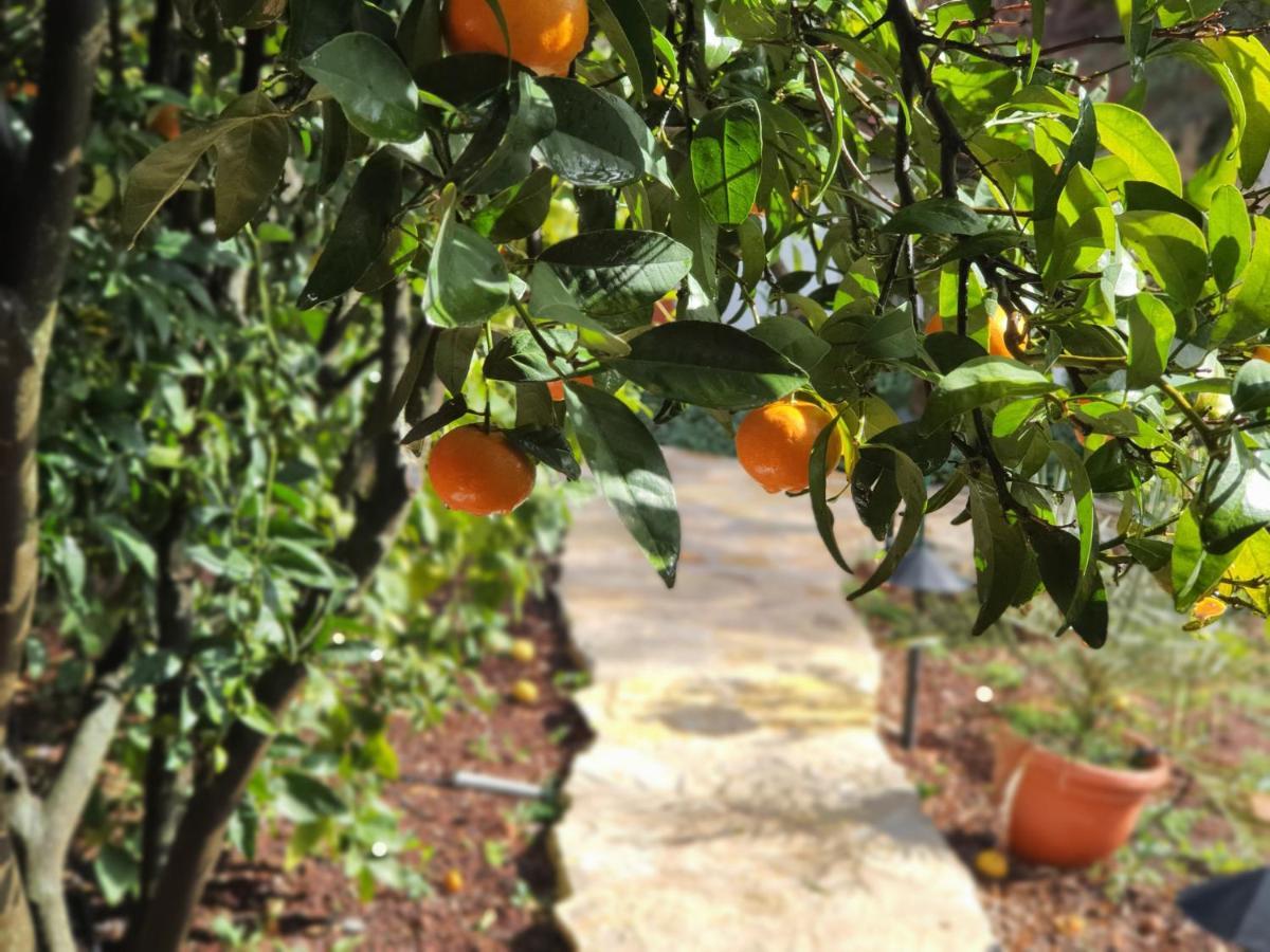 Eretz Hagalil - Land Of Galilee Guest House Amirim Exterior photo