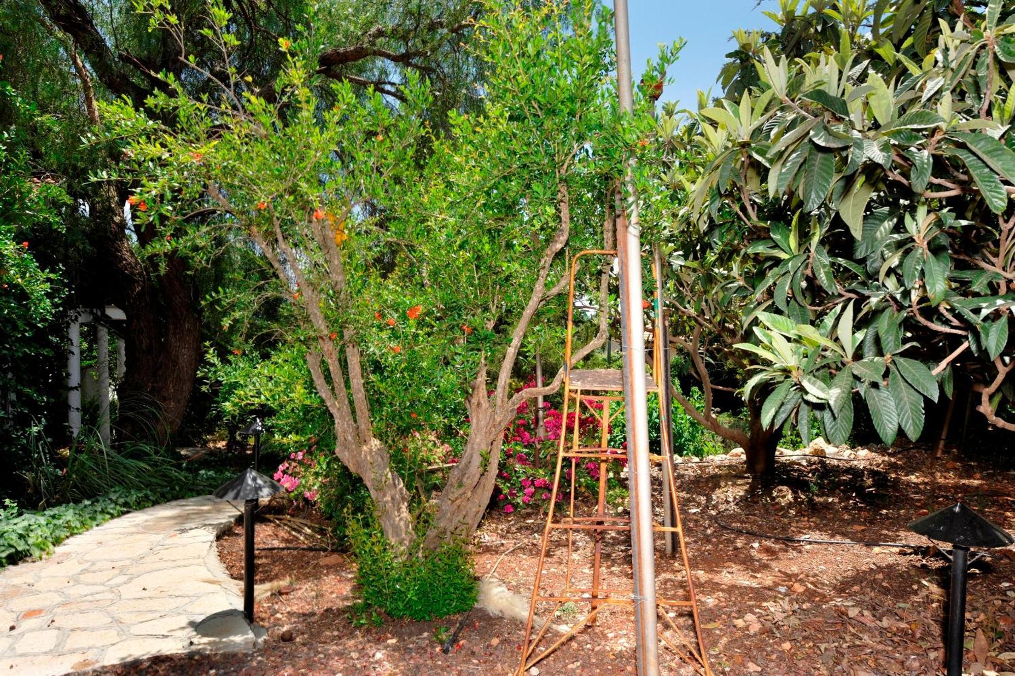 Eretz Hagalil - Land Of Galilee Guest House Amirim Exterior photo